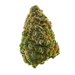 Buy Toxic Marijuana Strain online UK