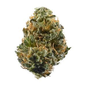 Buy Citrus Punch Marijuana Strain online UK