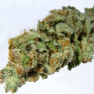 Buy Obama OG Online UK